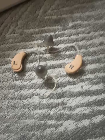 Sams Club Hearing Aides