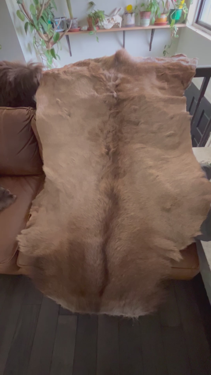 Tanned Elk Hide