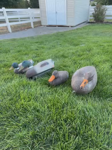 Flambeau Mallard Floater Decoys
