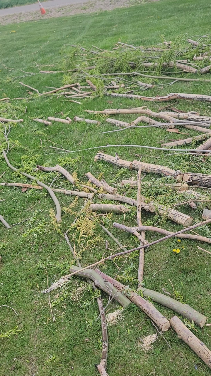 fire wood