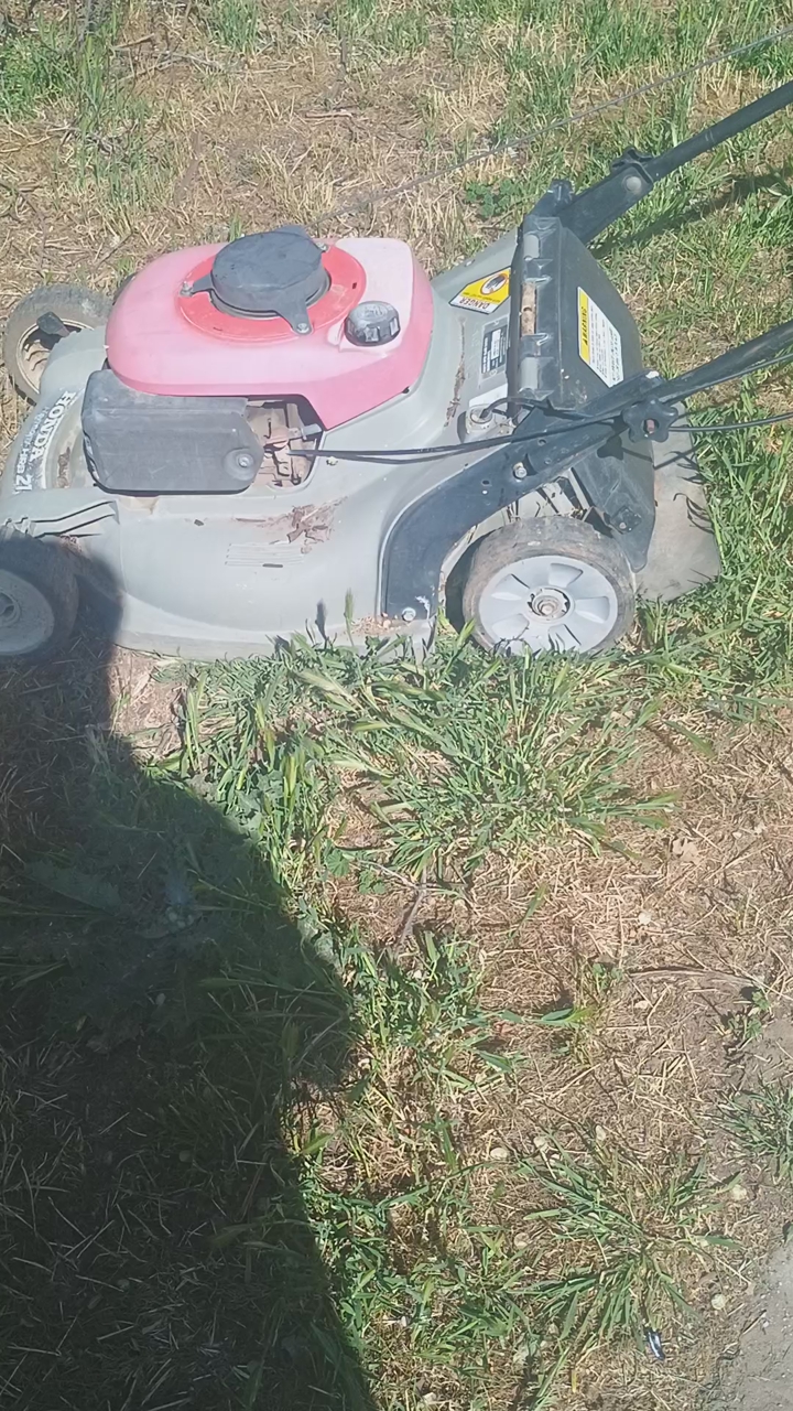 Honda mower