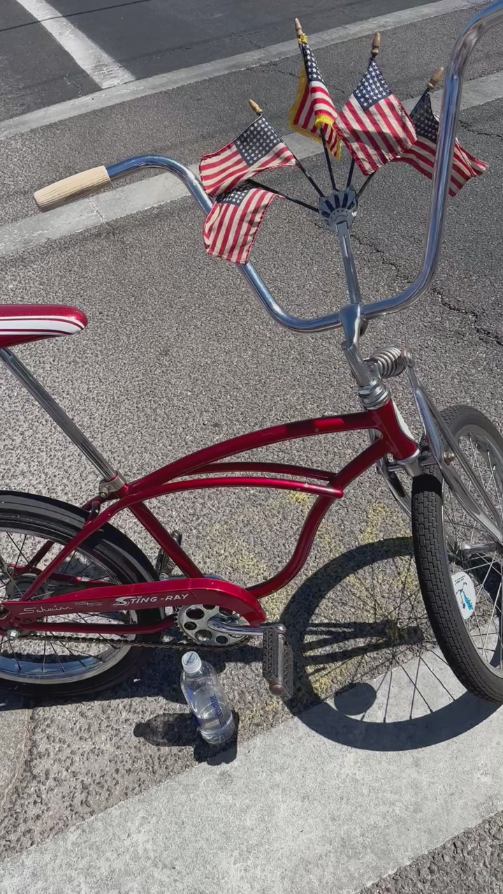 1964 Schwinn Delixe 2 Speed Kickback