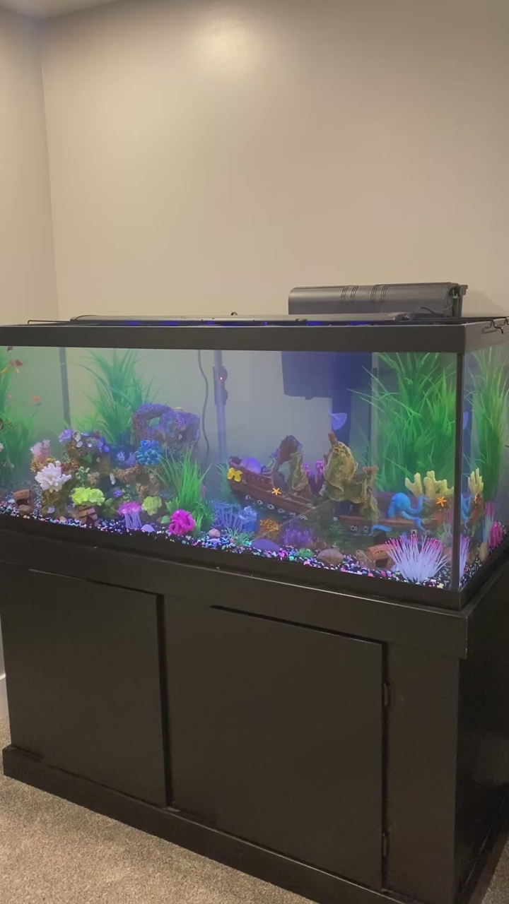 75 Gal Fish Tank With Stand
