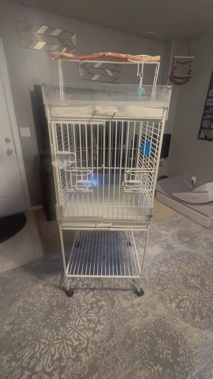 Bird cage w/feeding bowls