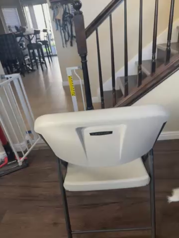 Life Time folding chairs