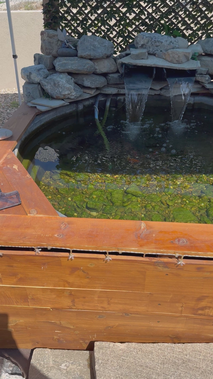 Pond