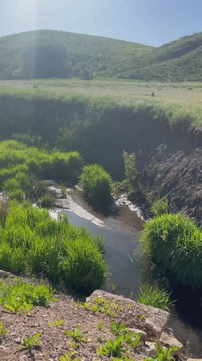 Dream lots on creek