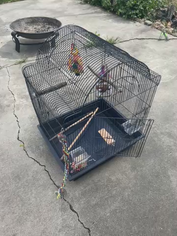 Bird cage