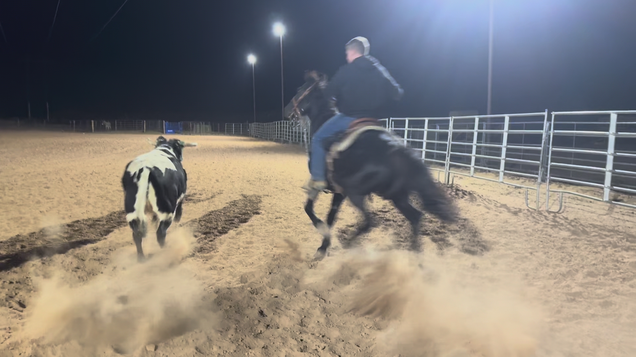 All Around Rope Horse Finished Head