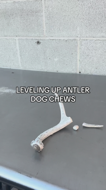 Antler Dog Chew Toys