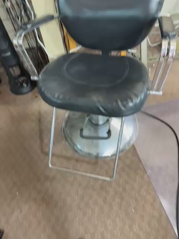 Beauty Salon Chair