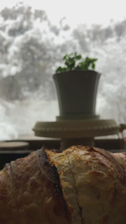 Heritage Sourdough Starter