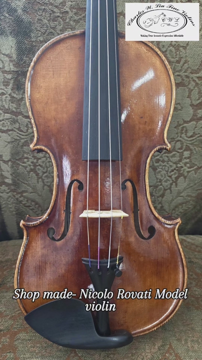 PRO LEVEL ROVATI VIOLIN ON SALE