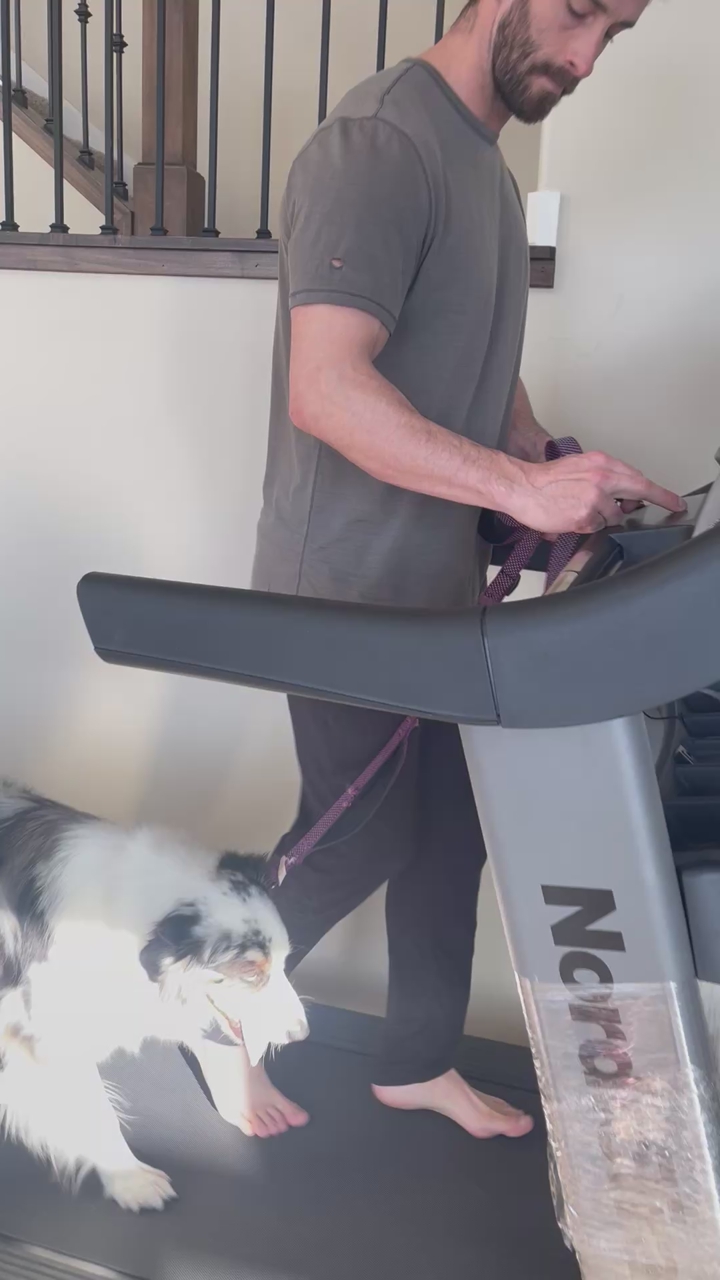 NordicTrack Commercial 1750 Treadmill – Excellent Condition - $500 or best offer