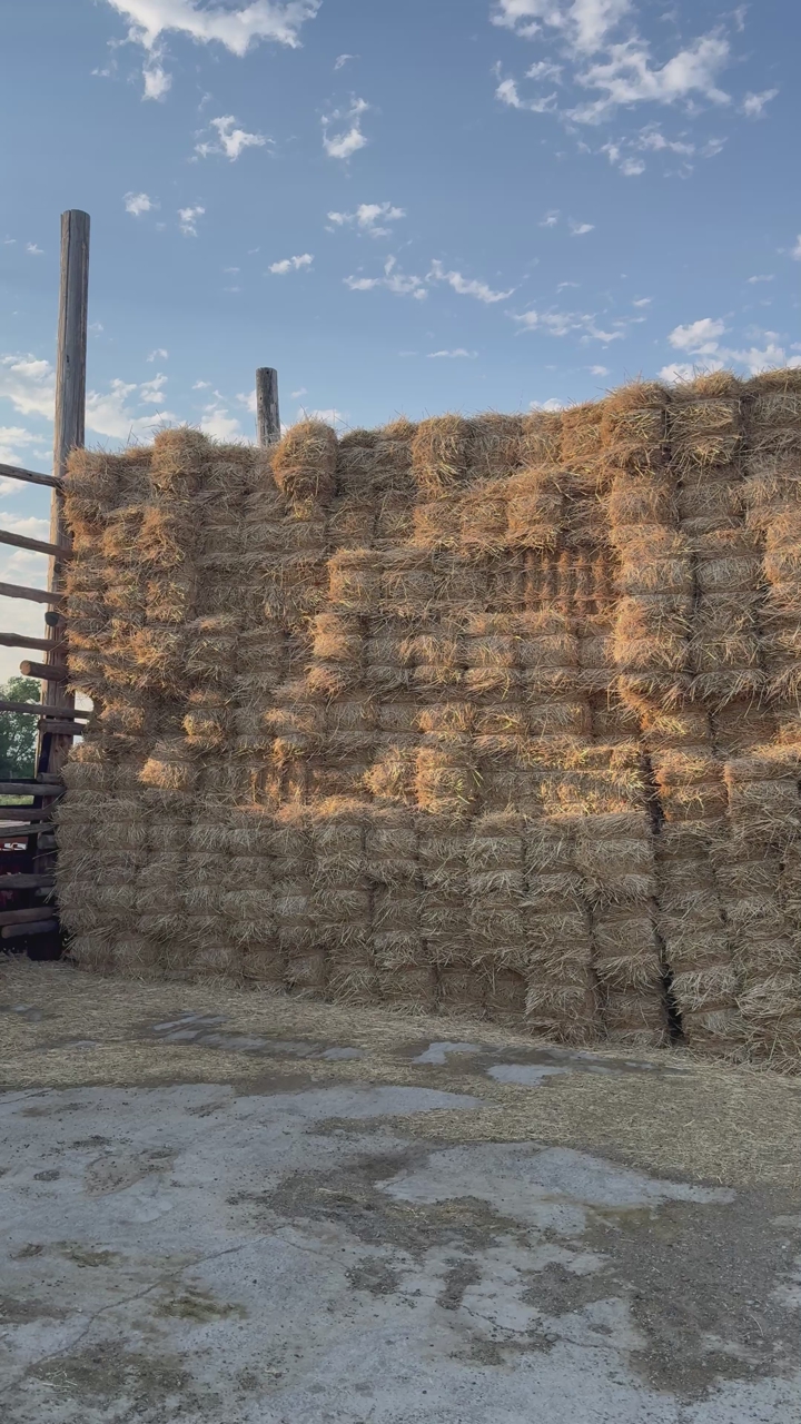 Small straw bales