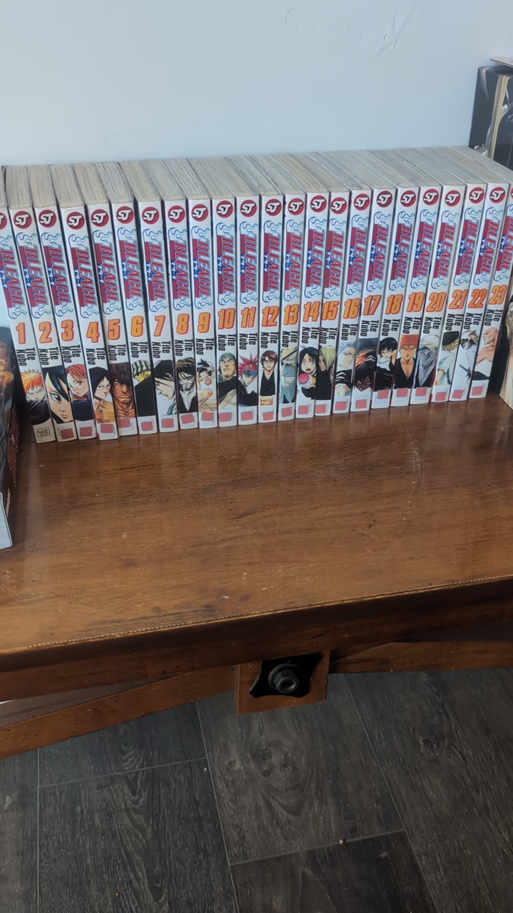 Bleach Manga 1-23