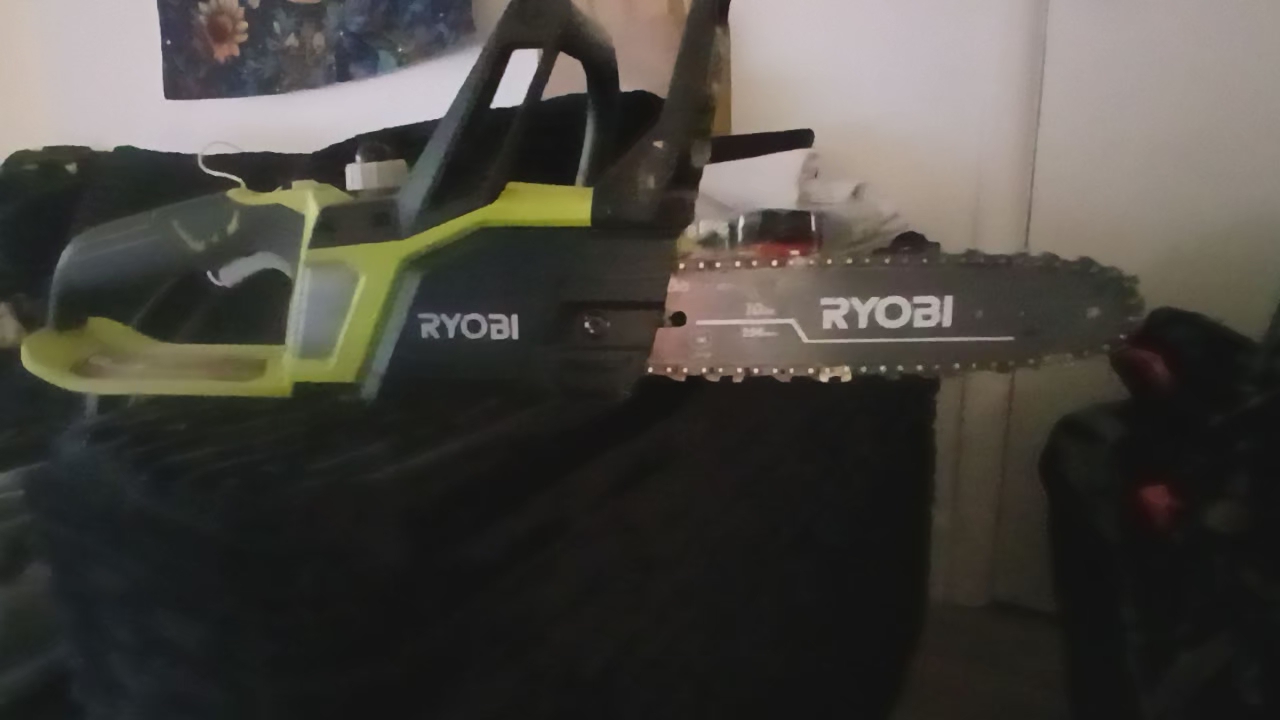 Robin cordless 10" chainsaw