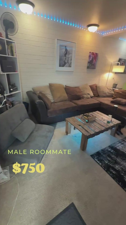 Private room near downtown SLC $750 utilities/internet/laundry/parking included (available now)