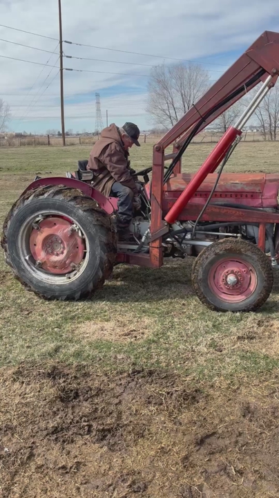 135 Masses Ferguson Tractor