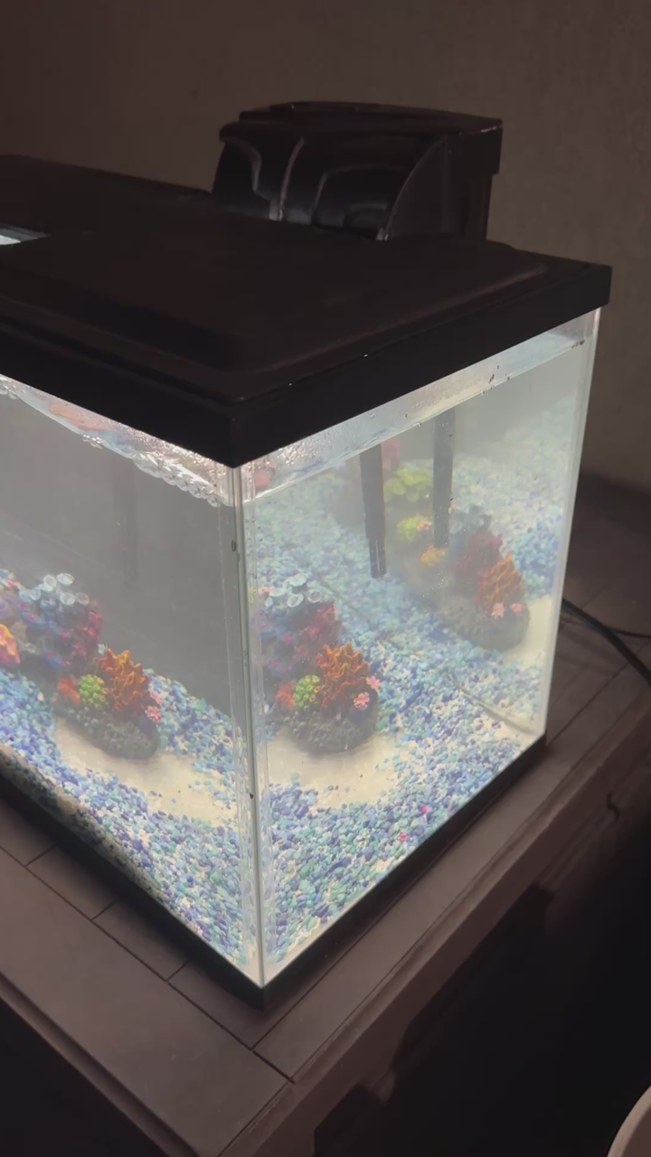 10 Gallon Fish Tank Aquarium w/ Filter, Heater, Et